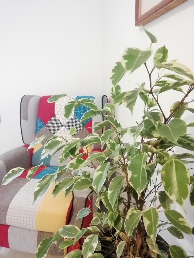 Casa Bellini Βίλα Comacchio Εξωτερικό φωτογραφία